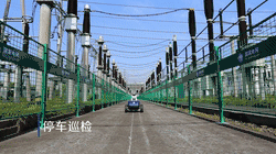 t3.gif t3.gif